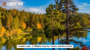 Loomis Lake