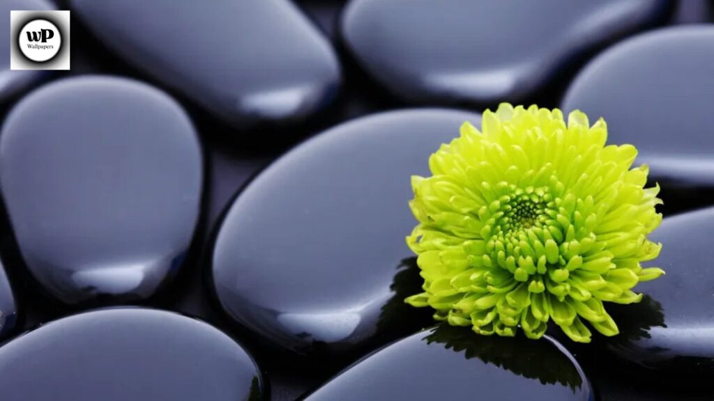 Zen Wallpaper Phone: The Ultimate Guide to Calm & Aesthetic Backgrounds 3 1 35