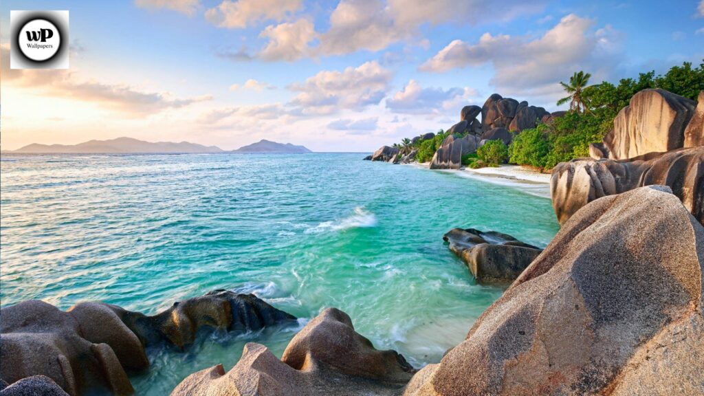 Summer Wallpaper 4K: Transform Your Screen with Bright and Refreshing Vibes 13 11 26