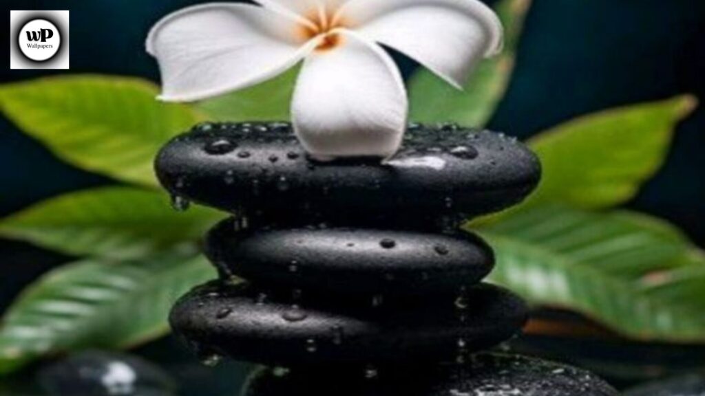 Zen Wallpaper Phone: The Ultimate Guide to Calm & Aesthetic Backgrounds 2 13 29