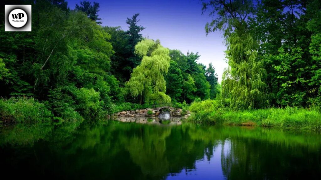 Zen Wallpaper Phone: The Ultimate Guide to Calm & Aesthetic Backgrounds 5 3 31