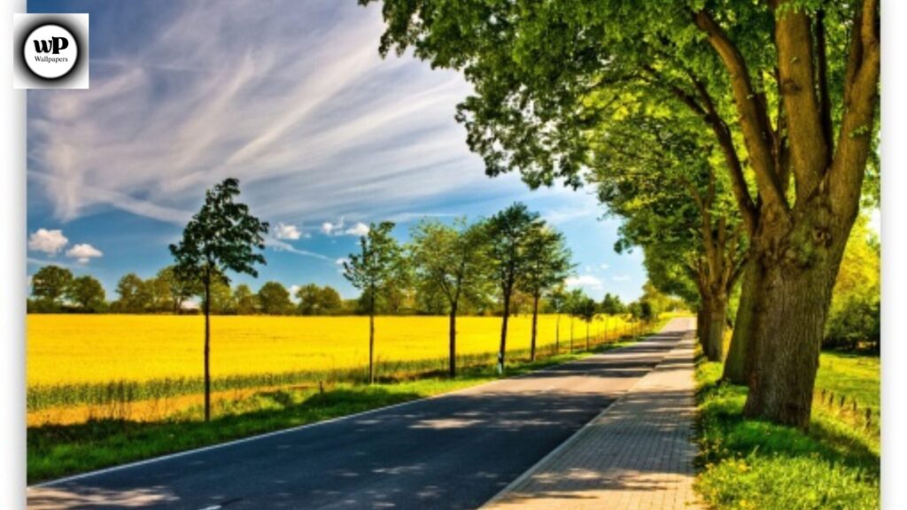 Summer Wallpaper 4K: Transform Your Screen with Bright and Refreshing Vibes 7 5 34