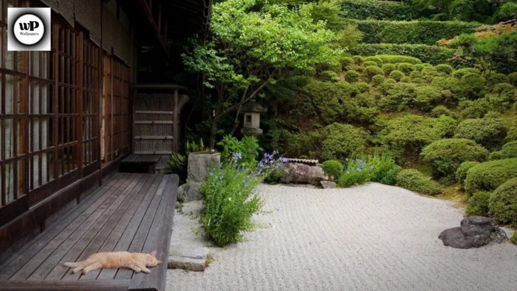 Zen Wallpaper Phone: The Ultimate Guide to Calm & Aesthetic Backgrounds 8 6 26