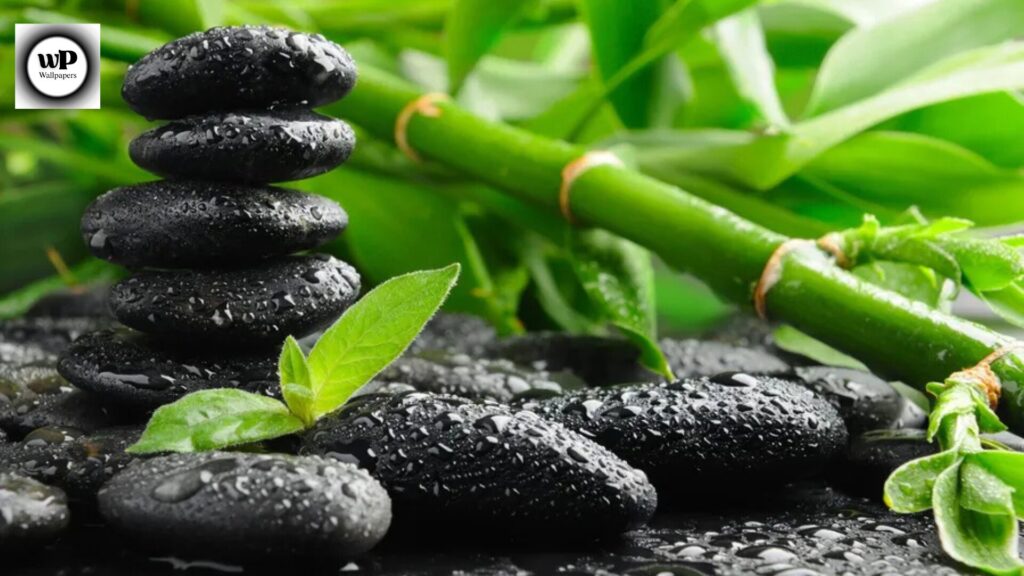 Zen Wallpaper Phone: The Ultimate Guide to Calm & Aesthetic Backgrounds 10 8 30