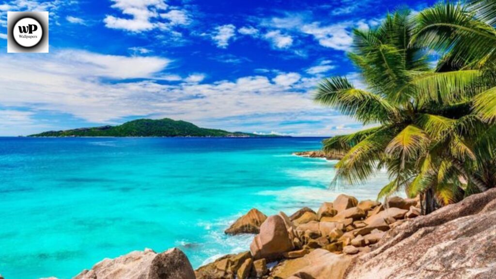 Summer Wallpaper 4K: Transform Your Screen with Bright and Refreshing Vibes 10 8 31