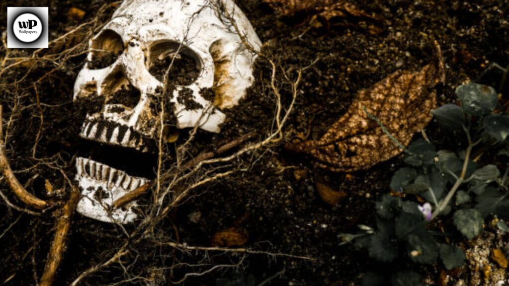 Grim Reaper Wallpaper iPhone Dark & Powerful Backgrounds 9 8 57
