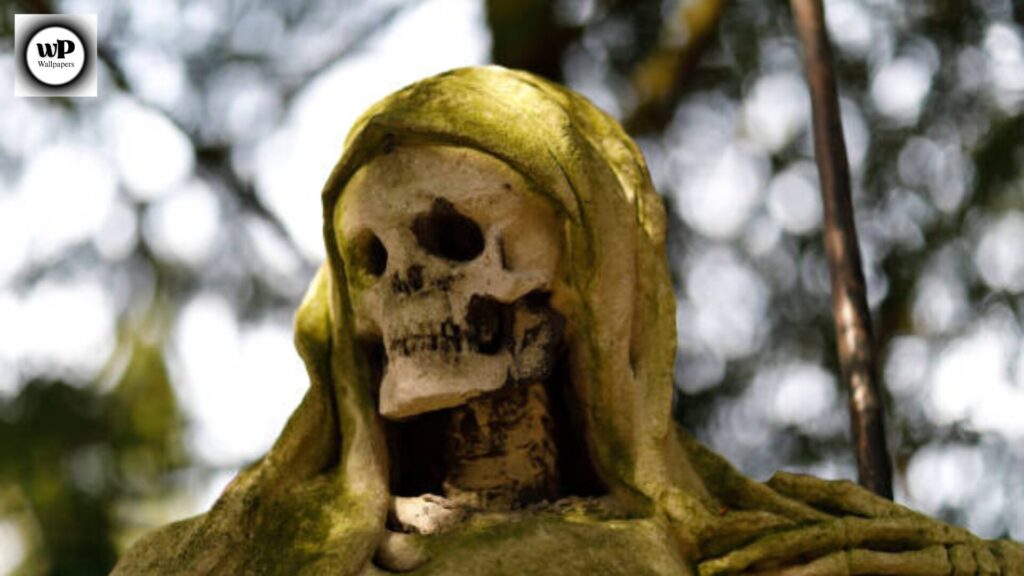 Grim Reaper Wallpaper iPhone Dark & Powerful Backgrounds 10 9 59