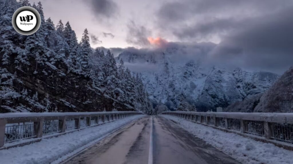 Snow Images Wallpaper: The Complete Authority Guide (HD, Aesthetic, Live, & More) 1 1 26