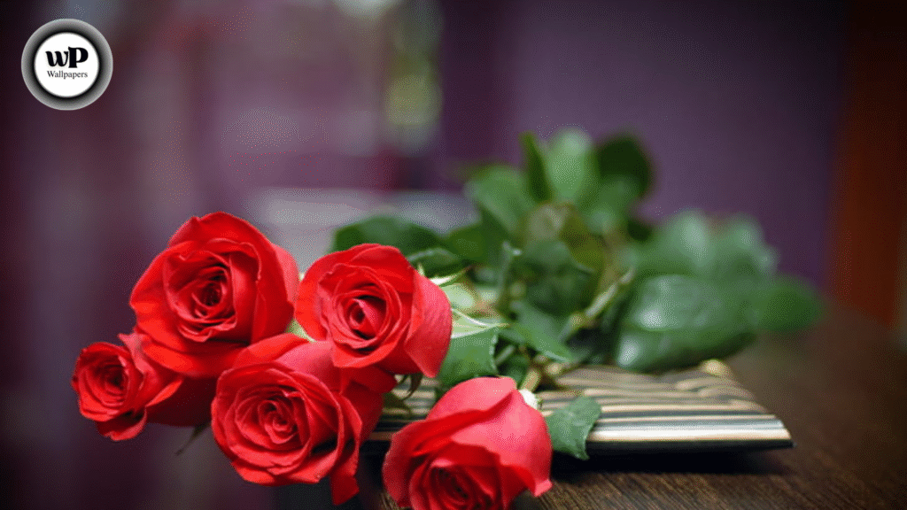 HD Wallpaper Roses The Ultimate Guide to Beautiful Rose Wallpapers in High Definition 2 1 4