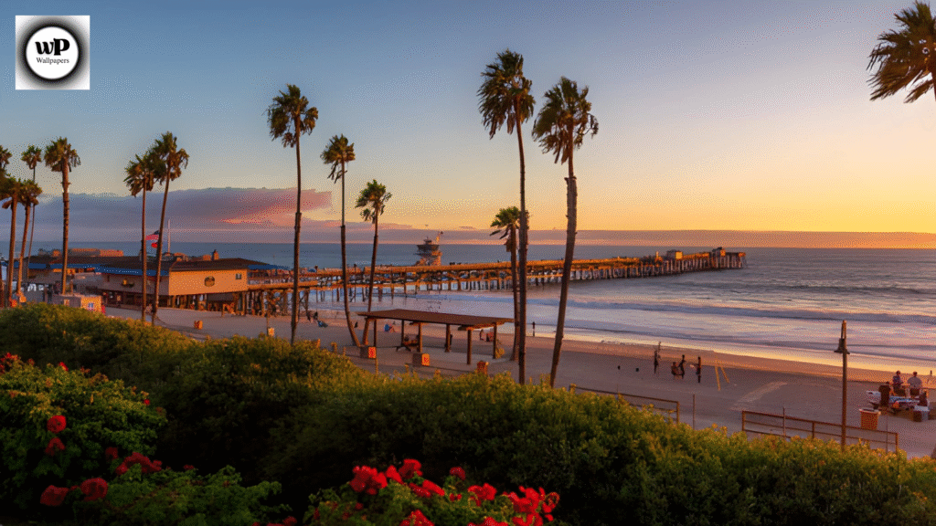 Free Summertime Screensavers: Bring Sunshine and Serenity to Every Screen 11 10 22