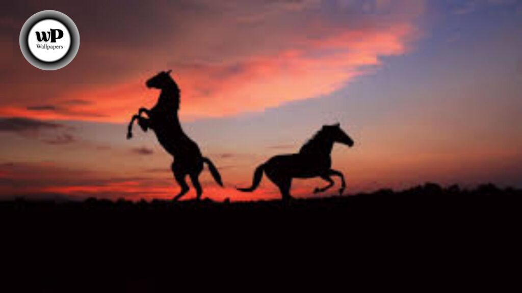 Horse Beautiful Wallpaper: The Definitive Guide 12 12 16