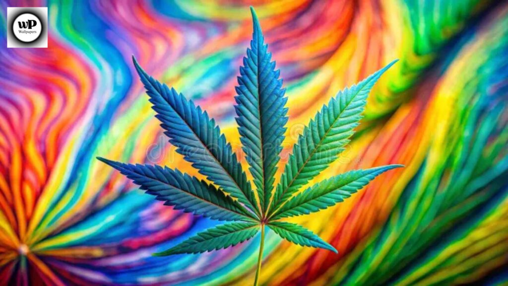 Wallpaper Marijuanas: Modern Aesthetic Backgrounds for Every Device 14 13
