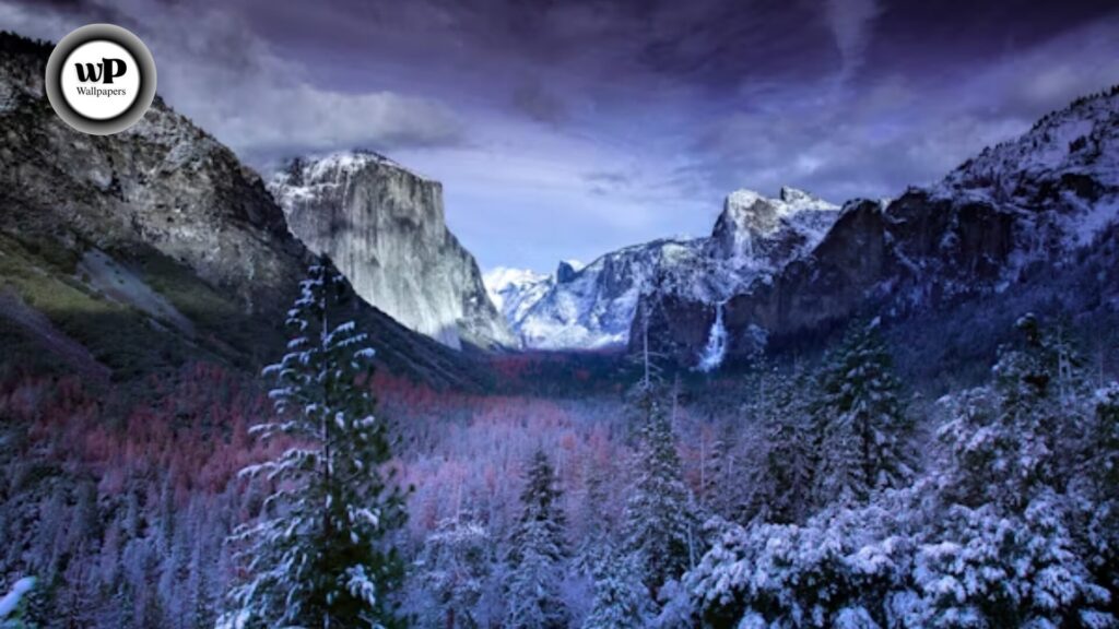 Snow Images Wallpaper: The Complete Authority Guide (HD, Aesthetic, Live, & More) 2 2 24