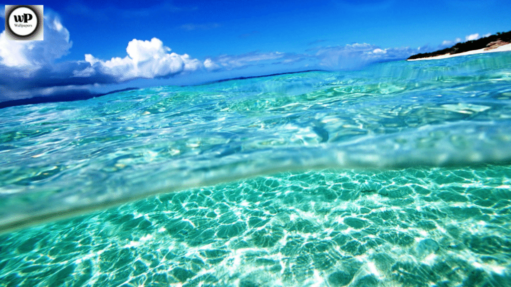 Free Summertime Screensavers: Bring Sunshine and Serenity to Every Screen 3 2 28
