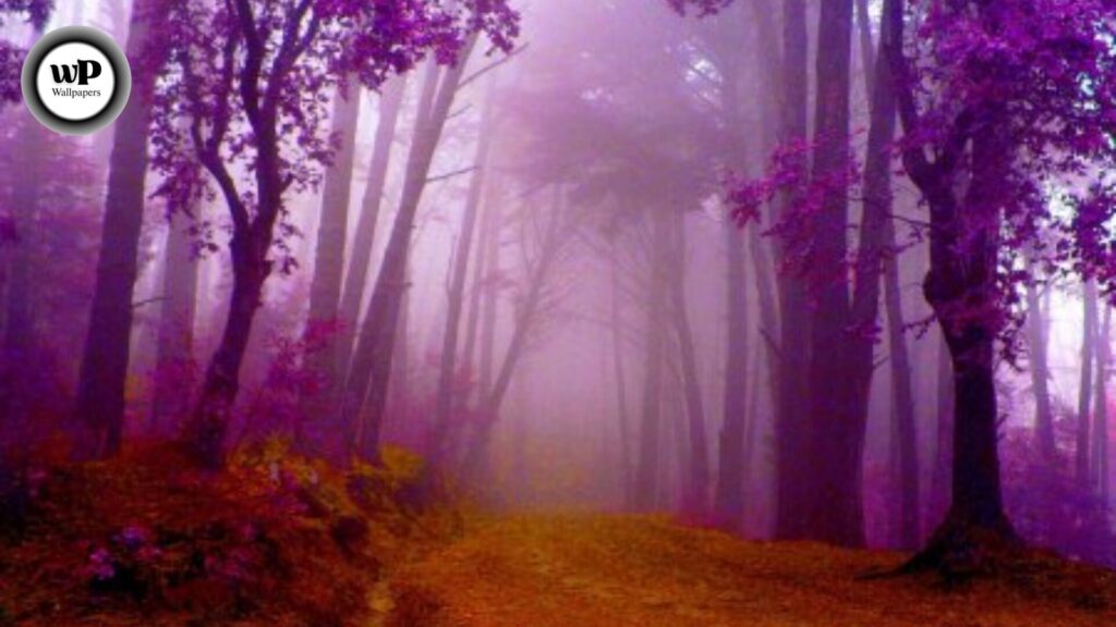 Purple Autumn Wallpaper: Embrace the Magic of Violet Leaves & Fall Vibes 2 2 30