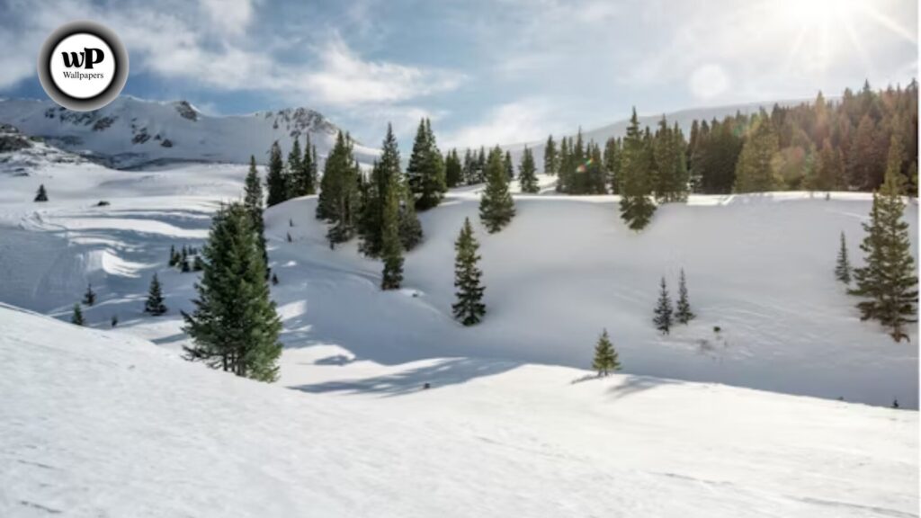 Snow Images Wallpaper: The Complete Authority Guide (HD, Aesthetic, Live, & More) 3 3 28
