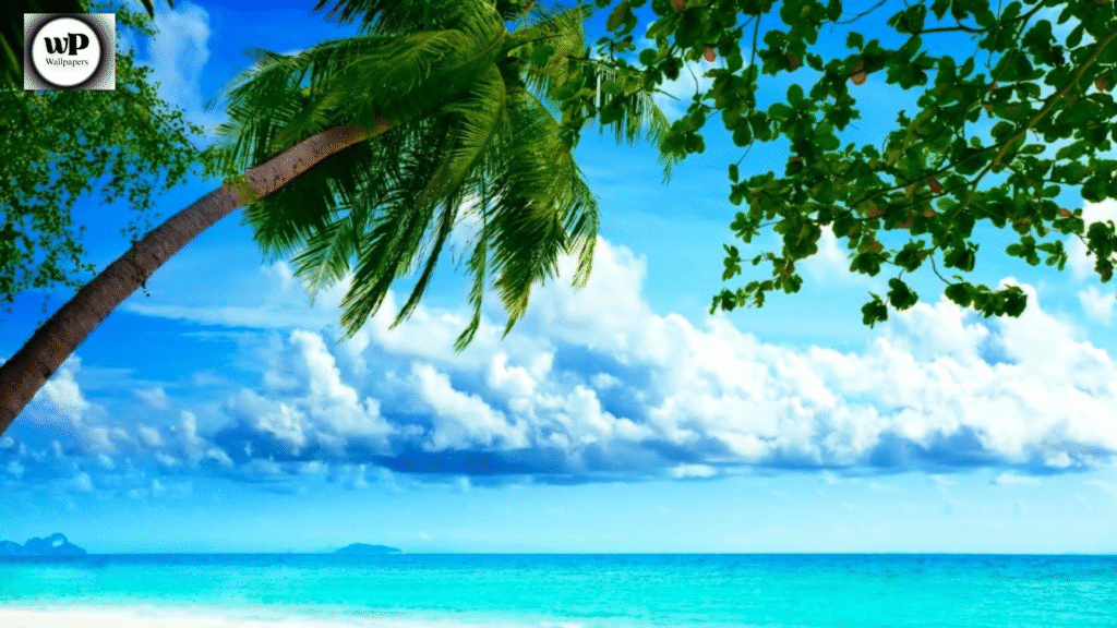 Free Summertime Screensavers: Bring Sunshine and Serenity to Every Screen 4 3 28