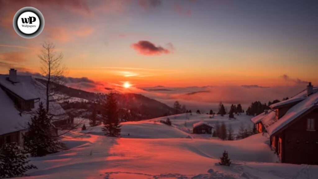 Snow Images Wallpaper: The Complete Authority Guide (HD, Aesthetic, Live, & More) 7 4 1 7