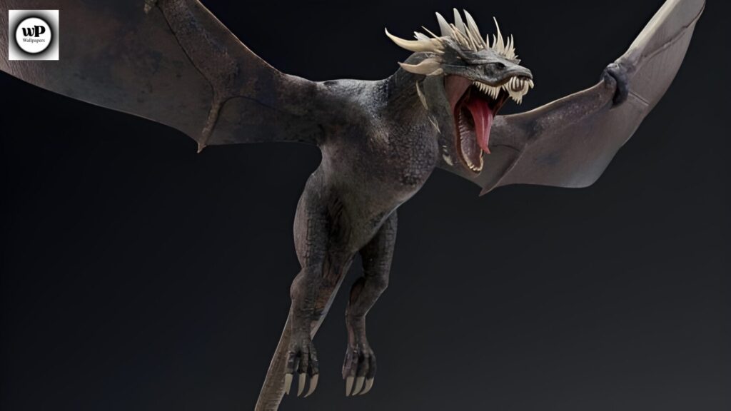 Realistic Dragon Wallpaper: Myth, Culture, and Fantasy for Your Screen 6 4 3
