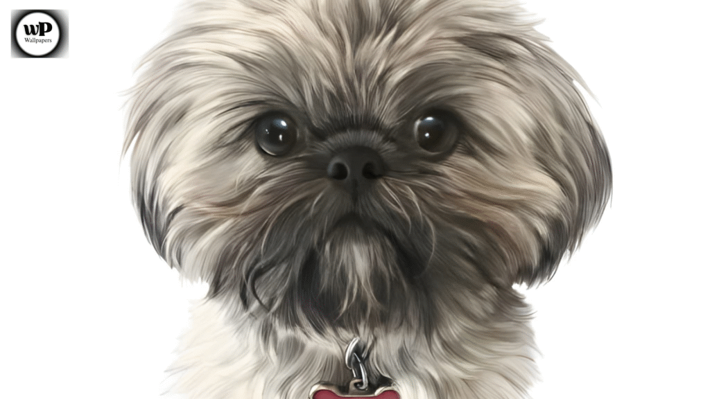 Cute Dog Wallpaper PC Bring Joy and Paw-sitivity to Your Screen 6 4 33