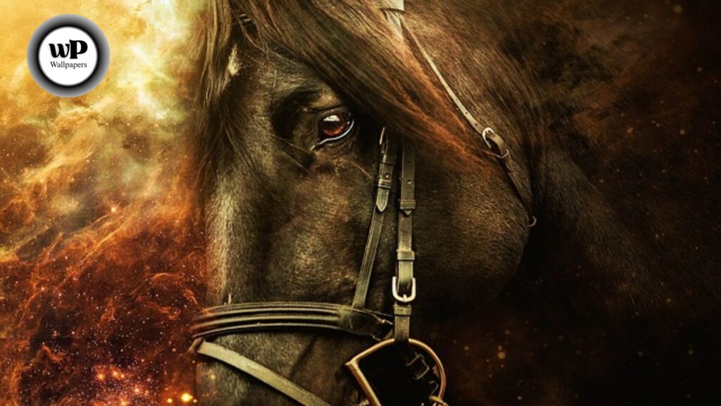 Horse Beautiful Wallpaper: The Definitive Guide 7 5 24