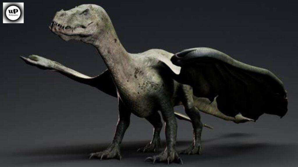 Realistic Dragon Wallpaper: Myth, Culture, and Fantasy for Your Screen 7 5 3
