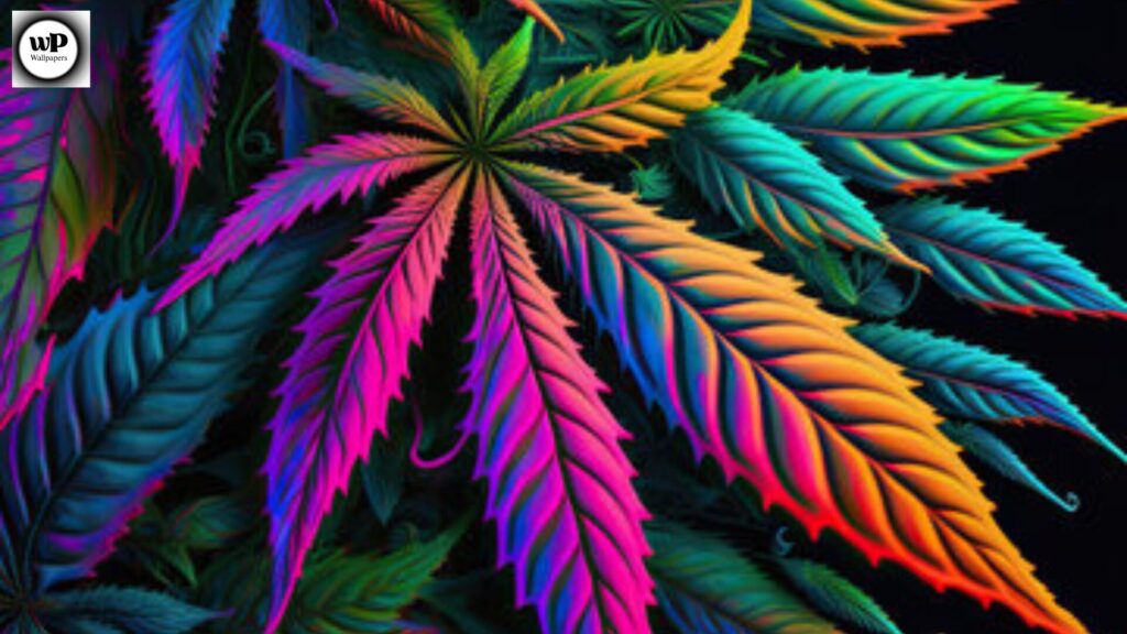 Wallpaper Marijuanas: Modern Aesthetic Backgrounds for Every Device 8 6 1