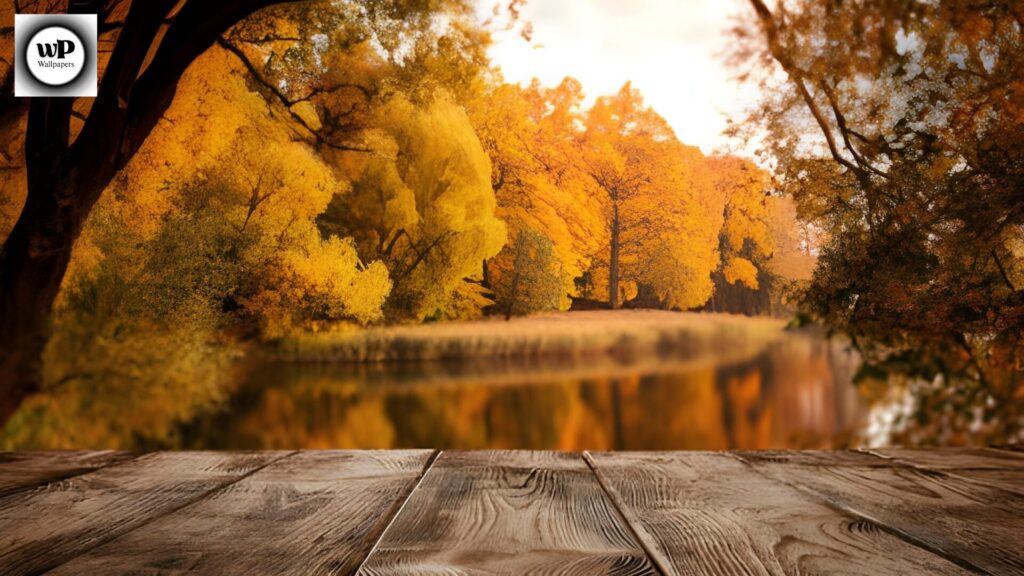 Lake Life Wallpaper: Calm, Clarity, and the Beauty of Still Waters 7 6 15