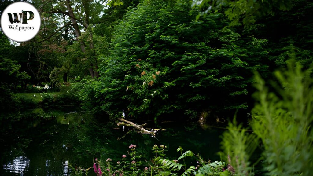 Cool Landscape Wallpapers: The Ultimate Guide to Nature’s Beauty for Your Screens & Spaces 5 6 35