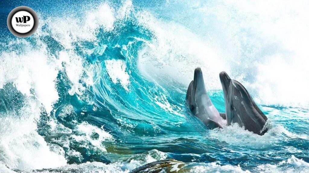 Ocean Desktop Backgrounds Free: The Ultimate Guide to Choosing, Using & Enjoying HD Wallpapers 6 6 39