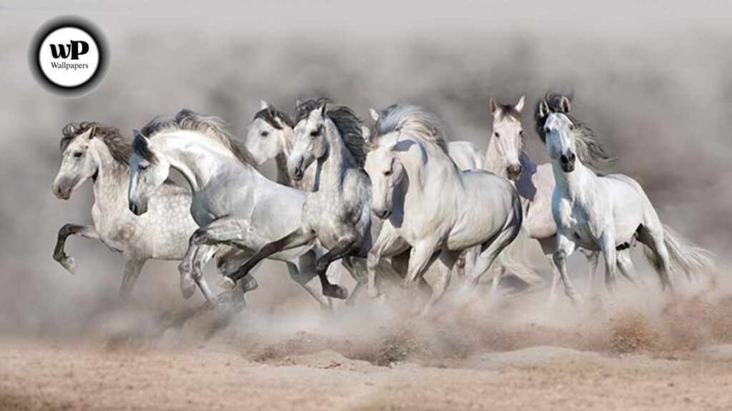 Horse Beautiful Wallpaper: The Definitive Guide 4 7 1 4