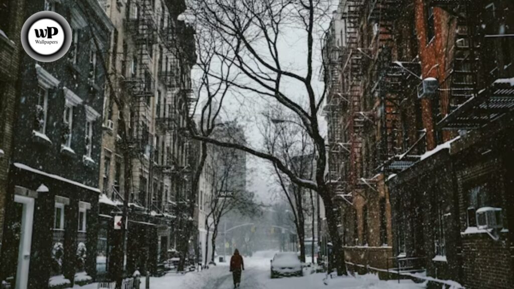 Snow Images Wallpaper: The Complete Authority Guide (HD, Aesthetic, Live, & More) 10 7 1 7