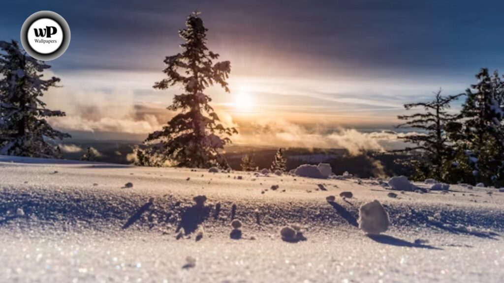 Snow Images Wallpaper: The Complete Authority Guide (HD, Aesthetic, Live, & More) 8 8 26