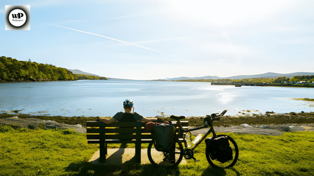 Free Summertime Screensavers: Bring Sunshine and Serenity to Every Screen 10 9 23