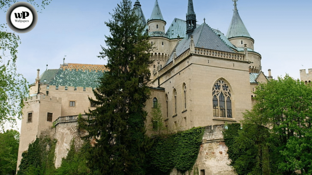 Castle Wallpaper iPhone Transform Your Screen into a Kingdom of Beauty & Elegance 12 9 44