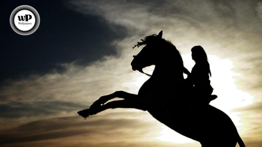 Horse Beautiful Wallpaper: The Definitive Guide 9 Untitled design 5